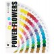 ibc F012391 Color Master for POWER FLOWER - NON AZO Power Flowers