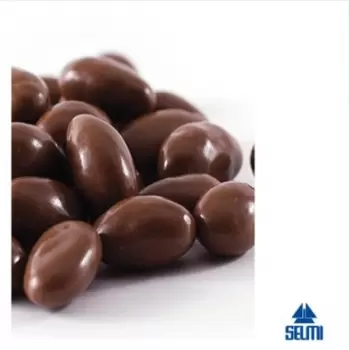 Selmi A-1350 Selmi Coating Pan - Comfit Chocolate and Confectionery Coating Equipment