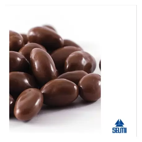 Selmi A-1350 Selmi Coating Pan - Comfit Chocolate and Confectionery Coating Equipment