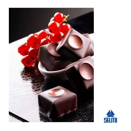 Selmi A-1400T Selmi Enrobing & Cooling Tunnel Line - Tun 800 Chocolate Enrobing Equipment Selmi A-1400T Selmi Enrobing & Cooling Tunnel Line - Tun 800 Chocolate Enrobing Equipment