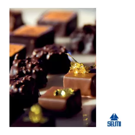 Selmi A-1400T Selmi Enrobing & Cooling Tunnel Line - Tun 800 Chocolate Enrobing Equipment Selmi A-1400T Selmi Enrobing & Cooling Tunnel Line - Tun 800 Chocolate Enrobing Equipment