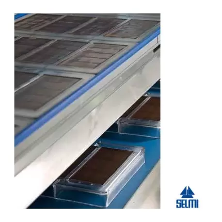 Selmi A-1475 Selmi Mould Loader Chocolate Molds Filling Equipment Selmi A-1475 Selmi Mould Loader Chocolate Molds Filling Equipment