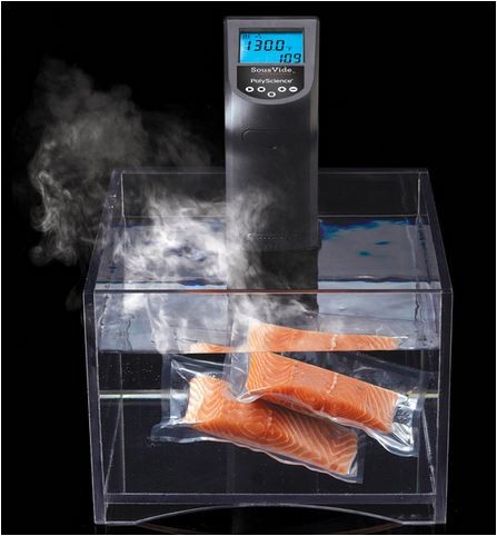 https://www.pastrychefsboutique.com/13827/poly-science-pcreative-poly-science-sous-vide-professional-immersion-circulator-creative-series-sous-vide-cooking-equipment.jpg