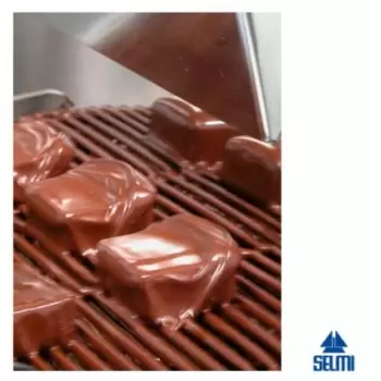 Selmi R200 Selmi R200 Coating Machine - for Selmi Plus EX, Futura EX and Top EX. Chocolate Enrobing Equipment