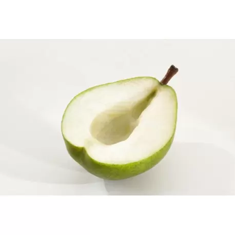 Triangle 7209245 Fruit and Vegetable Corer Decorating Tools