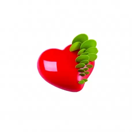 Pavoni KE016 Pavoni Professional Silicone Heart Mold PASSION - mm 175 x 165 x 58 H - 960ML Pavoni Entremet Mold