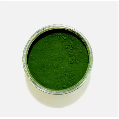 Pastry Chef's Boutique PCBPC08 Pastry Chef's Boutique Powder Food Color - LEAF GREEN - 20gr - 0.7oz Powder Liposoluble Colors