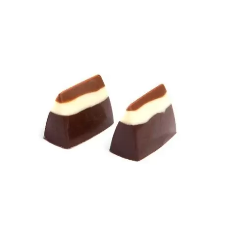Chocolat Form CF0410 Polycarbonate Chocolate Mold 25,5x12,5x17 mm - 4 gr - 3x8 cav - 135x275x24 Modern Shaped Molds