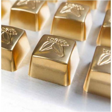 chocolate polycarbonate mold cocoa molds beans shaped modern mm gr 3x8 pc cacao traditional