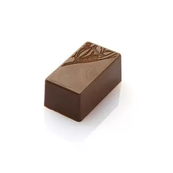 Chocolat Form CF0403 Polycarbonate Chocolate Mold Rectangle Cocoa Bean - 31,5x17,5x14 mm - 3x8 cav - 135x275x24mm Modern Shap...