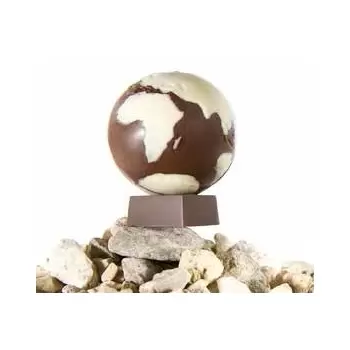 Chocolate World CW1647 Polycarbonate Base for Globe (CW 1648) Chocolate Mold - 26 x 26 x 12 mm - 9gr - 3x8 Cavity - 275x135x2...