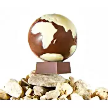 Chocolate World CW1648 Polycarbonate Globe with Map Sphere Chocolate Mold - Ø50 mm - 50 x 50 x 25 mm - 38gr - 2x4 Cavity - Do...