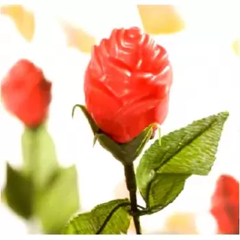 Polycarbonate Rose Flower for Stalk Chocolate Mold - 54 x 35 x 17.2 mm - 19gr - 2x6 Cavity - Double Mold - 275x135x24mm