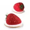 Pavoflex - TUTTIFRUTTI FRAGOLA STRAWBERRY - 30mmx40mm - 20 Cavity - Ø 71 x 54 x 46 mm H Vol: 90 ml