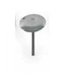 Stainless Steel Flower Nail for Cake decorations - 34 mm