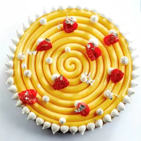 Pavoni TOP06 Pavoni Silicone Spiral Top Decoration Molds for Entremets - IPNOSI - Ø 160 x 10 mm - Vol: 185 ml Pavoni Entremet...