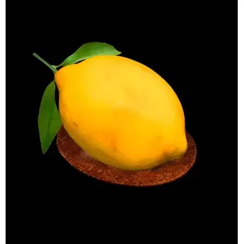 Sasa Demarle Flexipan Origine Lemon Silicone Mold - 85 x 65 x34 mm - 20 Cavity - 600 x 400 mm