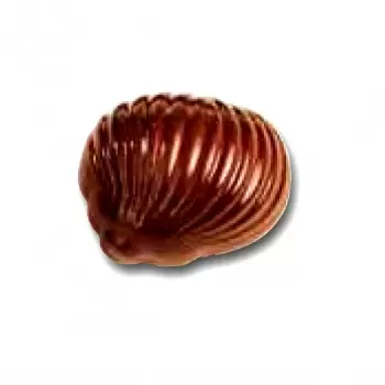 Cabrellon 1055 Polycarbonate Chocolate Mold Snail Praline Mold - 33x27x20 mm - 5x7 pc - 12 gr - 275x175mm Traditional Molds