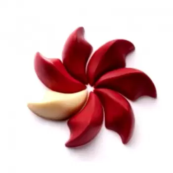 Polycarbonate Praline by Dedy Sultan Chocolate Mold - 45 x 31 x 21 mm - 9gr - 3x7 Cavity - 275x135x24mm
