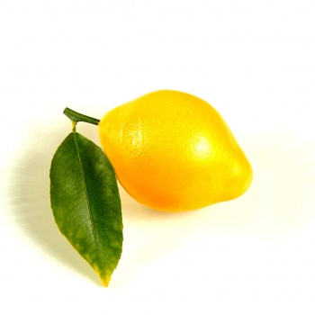 Sasa Demarle Flexipan Lemon Silicone Mold - 85 x 65 x34 mm - 20 Cavity - 600 x 400 mm
