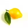 Sasa Demarle Flexipan Origine Lemon Silicone Mold - 85 x 65 x34 mm - 20 Cavity - 600 x 400 mm