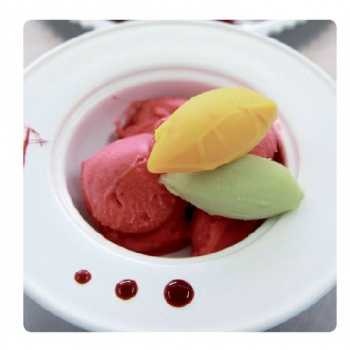 Grupo Vilbo SGIC Artisanal ice cream recipe book - by grupoVilbo Books on Ice Cream and Gelato