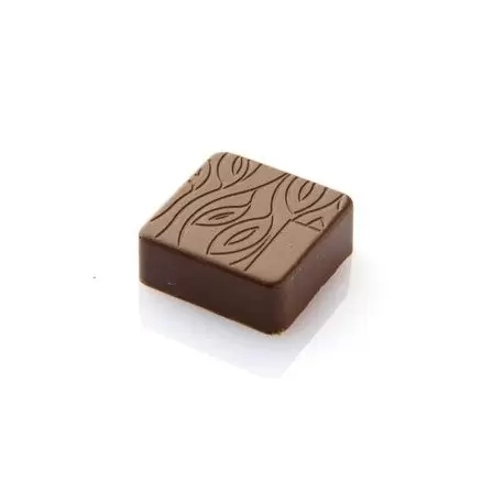 Chocolat Form CF0202 Polycarbonate Chocolate Mold Cacao - 27x27x12 mm -9 gr - 3x8 cav - 135 x 275 x 24mm Modern Shaped Molds