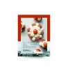 LEPARIS LE PARIS DES PÂTISSERIES by François Blanc (French Language) Pastry and Dessert Books