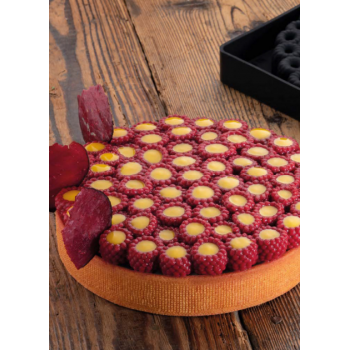 Pavoni Mini Silicone Top Decoration Molds for Monoportions - MINI SCARLET - By Stefano Laghi & Sebastiano Caridi