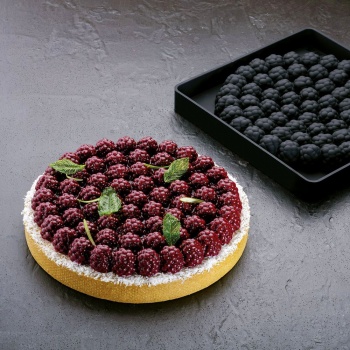 Pavoni TOP24 Pavoni Silicone Top Decoration Molds for Entremets - RAVEN - By Stefano Laghi & Sebastiano Caridi Pavoni Entreme...