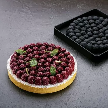 Pavoni TOP24 Pavoni Silicone Top Decoration Molds for Entremets - RAVEN - By Stefano Laghi & Sebastiano Caridi Pavoni Entreme...