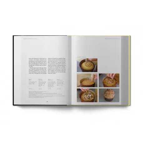 Thomas Teffri-Chambelland PEVBOOK Panettone et Viennoiserie au Levain - French Edition Books on Bread and Viennoiseries