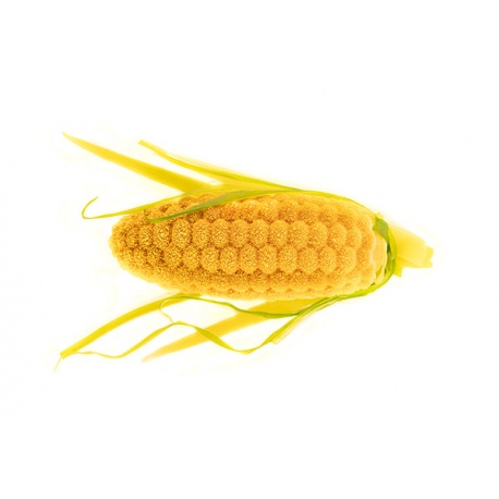 https://www.pastrychefsboutique.com/22770-large_default/silikomart-36327360065-silikomart-professional-pannocchia-20-corn-ears-mold-signed-by-terry-giacomello-decoration-silicone-molds.jpg