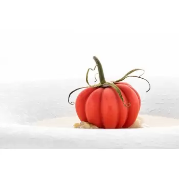 Silikomart Professional Naturae Pomodoro 24 Tomatoes Mold - Inspiration by Chef Andrea Valentinetti