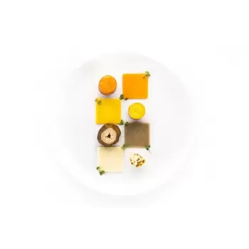 Silikomart 33.306.36.0065 Silikomart Professional Quadrato 4.0 Square Mold - Inspiration by Chef Andrea Valentinetti Decorati...