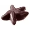 Polycarbonate Starfish Chocolate Mold - 150 x 150 x 30 mm - 250gr - 1x2 Cavity - Double Mold - 275x175x24mm
