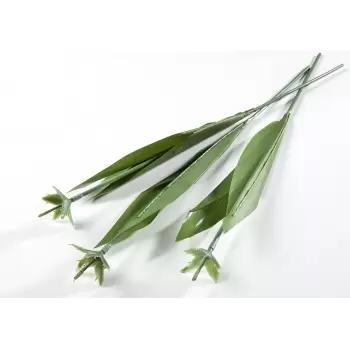 Chocolate World VV0103 Tulip Stalks - Artificial Stems for Chocolate Tulips - 50 pcs Valentine's Molds
