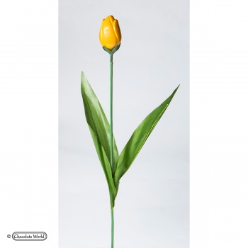 Tulip Stalks - Artificial Stems for Chocolate Tulips