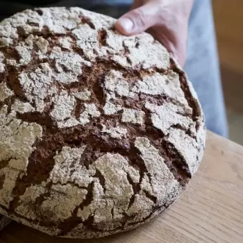 Thomas Teffri-Chambelland SBATE Sourdough Baking: A Treatise by Thomas Teffri-Chambelland - English Edition - Hardcover Books...