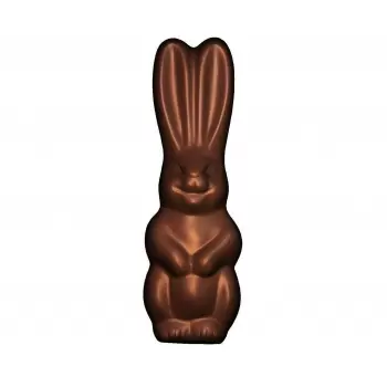 Cabrellon 6691 Chocolate Rabbit Polycarbonate Mold - 131 x 41 mm - 6 x 1 cavity - 275 x 175 mm Easter Molds