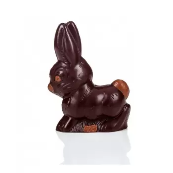 Cabrellon 1411 Polycarbonate Chocolate Rabbit Mold - 180 x 125 mm - 2 Cavity - 275 x 205 mm Easter Molds