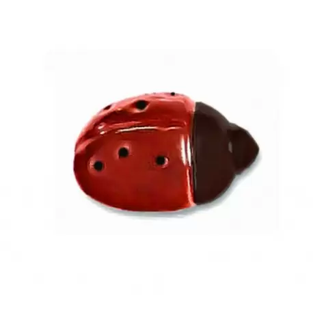 Polycarbonate Chocolate Ladybug Mold - 51 x 35 x 17 mm - 6 x 4 cavity - 275 x 175 mm - 18gr