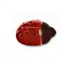 Polycarbonate Chocolate Ladybug Mold - 51 x 35 x 17 mm - 6 x 4 cavity - 275 x 175 mm - 18gr