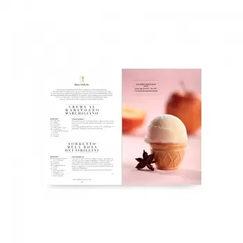 PROGE The Italian Gelato Project - Progetto Gelato by Andrea Soban (English) Books on Ice Cream and Gelato