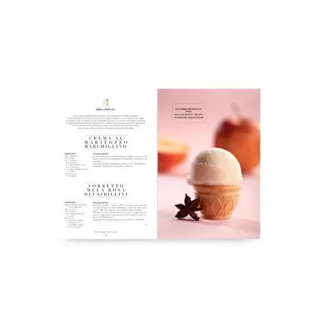 PROGE The Italian Gelato Project - Progetto Gelato by Andrea Soban (English) Books on Ice Cream and Gelato