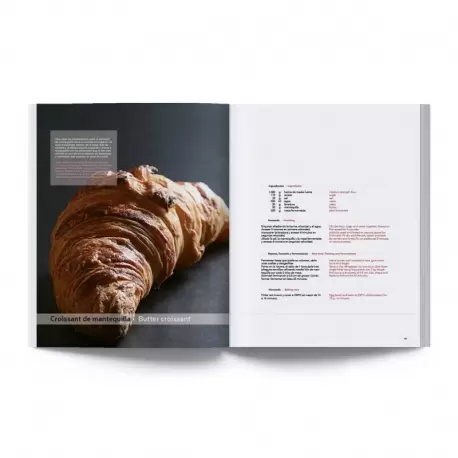 PANOFICIO True Bread / Panes con Oficio (REPRINT) by Joaquín Llarás (Bilingual English & Spanish) Books on Bread and Viennois...