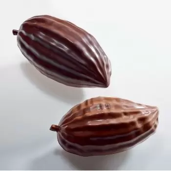 Valrhona 078271 Valrhona Thermoformed Small Cabosse Cacao Pods Chocolate Molds - 2 Cavity - 135x70mm Thermoformed Chocolate M...