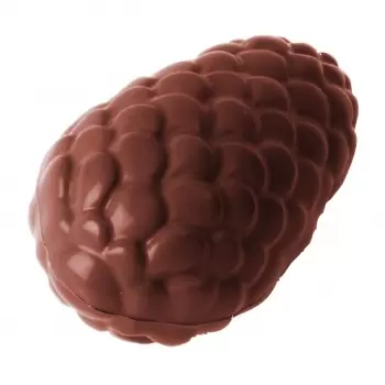 Chocolate World CW1536 Polycarbonate Winter Pine Cone Chocolate Mold - 42 x 25 x 11 mm - 7gr - 3x8 Cavity - 275x135x24mm Holi...