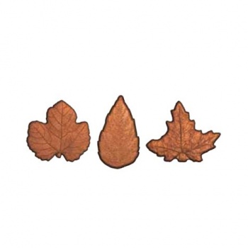 Polycarbonate  3 Autumn Fall Leaf Chocolate Mold - 3 x 6 cavity - 5gr