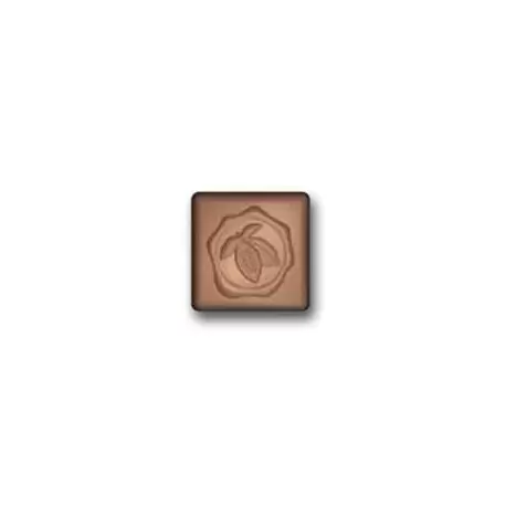 Cabrellon 17667 Polycarbonate Square Bonbon with Cacao Bean Stamp Design Chocolate Mold - 30 mm x 30 mm x 12 mm H - 4 x 7 cav...
